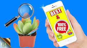 The best plant identification app. Unbelievable Free Plant Identification App Google Lens Tool Youtube