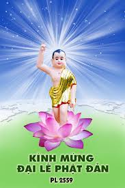 Lễ phật đản sinh cùng với lễ phật thành đạo và lễ phật nhập niết bàn hợp với nhau. Hanh Ä'á»™ng Thiáº¿t Thá»±c Ä'on Má»«ng Ä'áº¡i Lá»… Pháº­t Ä'áº£n Pl 2559 Gia Ä'inh Pháº­t Tá»­ Tá»‰nh Ba Rá»‹a VÅ©ng Tau Viá»‡t Nam