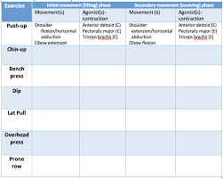 Solved Please Help Analyze Each Exercise In The Chart