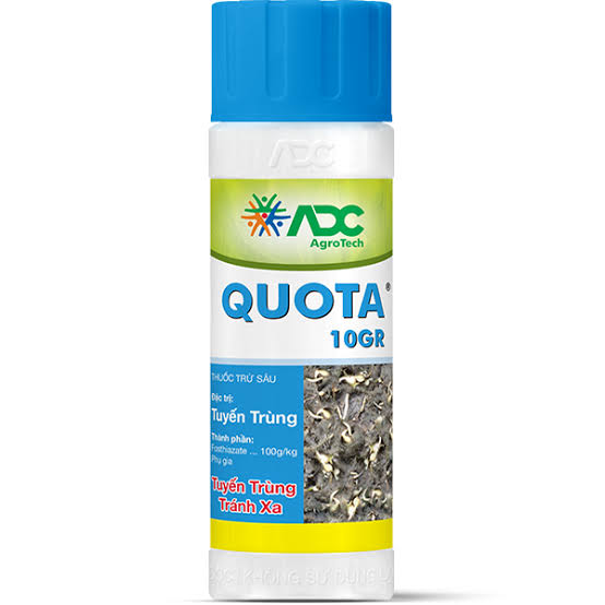 Quota 10GR