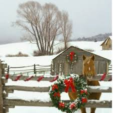 19,346 likes · 6 talking about this. Stream 128 Free Christmas Country Radio Stations 8tracks Radio Apps