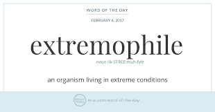 No An Extremophile Is Not An Enthusiast Of Extreme Sports Though Phile Rather Extremophiles Are Organisms Mostly Micr Uncommon Words Word Of The Day Words