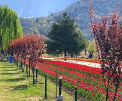 Adapted to low levels of watering, the hooded flowers are quite striking and beautiful. 15 Of The Most Magnificent Gardens In India Wildlifezones