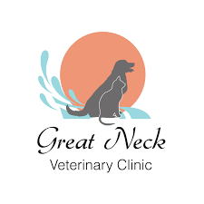 Beach pet hospital virginia beach virginia. Great Neck Veterinary Clinic Virginia Beach