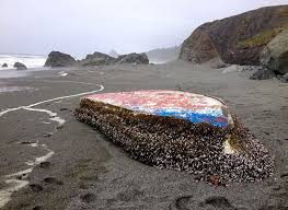 In total, 104 people were killed. Japan Tsunami Marine Debris Nec