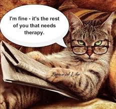 I M Fine Funny Animal Memes Funny Picture Quotes Cat Reading