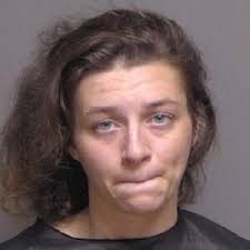 Flagler County Sheriff's Weekend Roundup: July 27-28