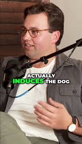 Dog Travel Bathroom Breaks