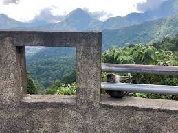 Bermodalkan tiket masuk seharga rp 2.000 saja, kamu bebas menikmati keindahan pusuk sembalun. Taman Wisata Pusuk Sembalun Sembalun Bumbung 2021 All You Need To Know Before You Go With Photos Tripadvisor