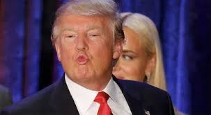 This industry is 'ready to cash in'