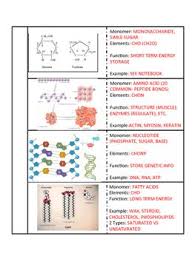 Pin By Melodie Hall On Biology Macromolecules Interactive Notebooks Foldables