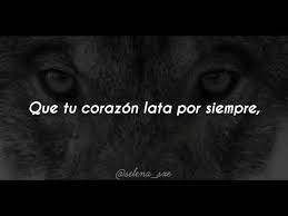 Dimash Kudaibergen Qairan Elim Sub Espanol Dimash Canciones Cantantes Selena