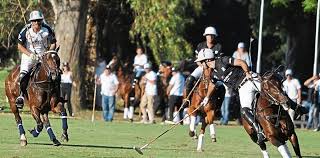 Campeonato argentino abierto de polo (argentine polo open championship) 2020. Campeonato Argentino De Polo Dos Cracks Palpitan La Gran Final