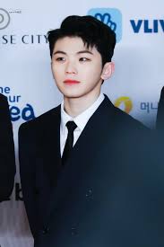 181128 Seventeen Aaa Red Carpet Woozi Woozi Seventeen Kpop Seventeen Woozi