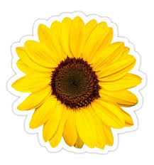 95 ( $0.50 $0.50 / count) Sunflower Stickers Sticker By Mhea Floral Stickers Aesthetic Stickers Printable Stickers