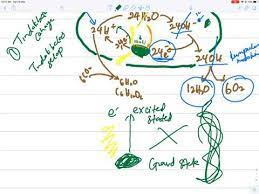 Tingkatan 4 bab 1 tingkatan 4 bab 2 tingkatan 4 bab 3 tingkatan 4 bab 4 tingkatan 4 bab 5 tingkatan 4 bab 6 tingkatan 4 bab 7. Biologi Bab 6 Bahagian 10 Fotosintesis Spm Tingkatan 4 Youtube