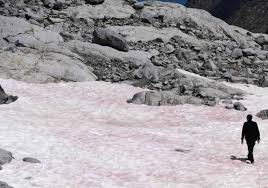 Read 20 reviews from the world's largest community for readers. Kurioses Phanomen Blutschnee In Den Alpen