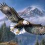 Bald eagle painting from usa.masterpiecebynumbers.com