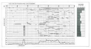 Location Time Urban Data Visualization Morphocode