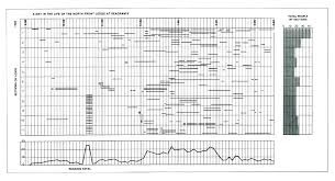 Location Time Urban Data Visualization Morphocode