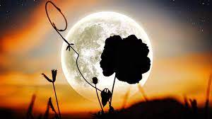 Voici tout ce que vous devez savoir sur la pleine lune de ce… Super Lune 2021 La Merveilleuse Super Lune Des Fleurs Va Eclairer Le Ciel En Mai Paris Secret