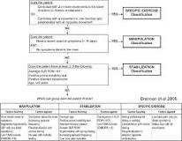 Image result for why classify low back pain by treatment instead of