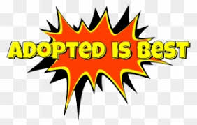 Welcome to free fire tournament hosted by akash. Name Clipart Transparent Png Clipart Images Free Download Page 13 Clipartmax