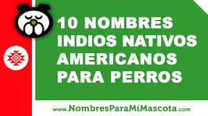 10 Nombres Indios Nativos Americanos Para Perros Mascotas Www Nombresparamimascota Com Video Dailymotion
