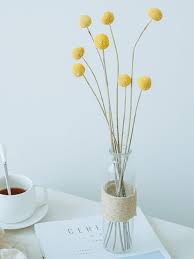 Buy dried flowers online at lowest price in india. Buy Dried Flowers Online In India Home Decor Whispering Homes