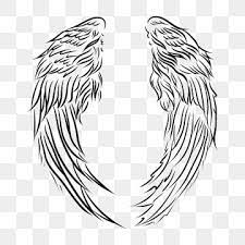Angel Wings Pattern Texture Line Artwork Wing Clipart Angel Wings Png Transparent Clipart Image And Psd File For Free Download Line Artwork Angel Cartoon Graphic Design Background Templates