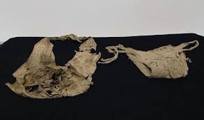 Wussten sie, dass die ursprünge des aufzugs bis in die antike reichen? Sensation 532 Jahre Alter Bh Gefunden Tirol Orf At