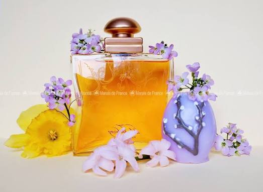 Hermès 24 Faubourg Eau de Toilette - MF Paris