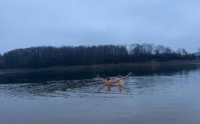 Verwenden sie die informationen oben: Schwimmen In Kalter Bever Radio Berg