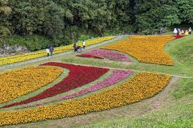 Check spelling or type a new query. Flowers Bloom And Birds At Dagouxi Waterfront Park Taipei Travel