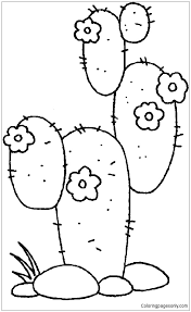 The hex codes can be found underneath each of the color swatches. Desert Plants Coloring Pages Coloring Printable B108 Gold