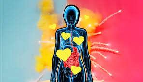 It's a common misconception that the visible outer parts of the female anatomy is called the vagina. Sexual Response Cycle What Happens In The Female Body During Sex Self