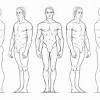 Study male anatomy using smart web & mobile flashcards created by top students, teachers, and professors. Https Encrypted Tbn0 Gstatic Com Images Q Tbn And9gcsdr9472hdl1ej4lnzougiwolfez7d6uvbr3isv6rvokeswmfft Usqp Cau