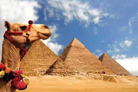 Ride a camel or horse on the giza plateau as dawn breaks over the pyramids and sphinx. Private Half Day Tour Giza Pyramids And Sphinx By Camel Or Horse Book Egypt Cheap Tours Sightseeing Trips Activities Best Things To Do