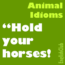 Maybe you would like to learn more about one of these? Animal Idioms Vocabulary Englishclub