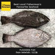 Ikan mas = gold fish. Ikan Sebelah Flounder Fish Whole Fillet Fresh Frozen Seafood From Kuala Selangor Shopee Malaysia