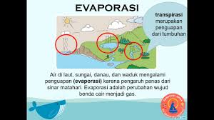 Menurut manan dan suhardianto (1999). Evaporasi Adalah Pengertian Transpirasi Dan Evaporasi Ilmu Teknik Sipil Indonesia Jadi Evaporasi Ini Juga Dikenal Dengan Istilah Penguapan