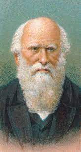 Charles Darwin 1809-1882, britischer Naturforscher, 1924