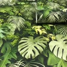 Feel free to share with your friends and family. Leaf Wallpaper Palm Leaf Green Leaves More I Want Wallpaper