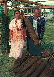 The caramel is just sugar and coconut milk (yay, for an accidentally vegan caramel sauce!). Yam Vegetable Wikipedia The Free Encyclopedia Yams Vs Sweet Potatoes Yams Tongan Food