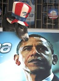 Image result for Kidding Goats, Tails To Pin, Donkeys At Parties