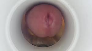 Cumming inside a Fleshlight (Internal View) - ThisVid.com