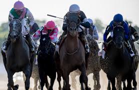 Belmont Stakes 2019 Replay Results And Payouts