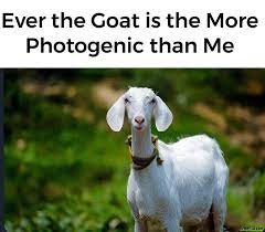Ever The Goat Is More Photogenic Than Me Meme Memezila Com