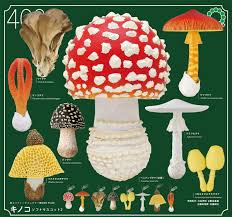 Image result for Pseudocolus schellenbergiae