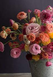 Ranunculus Love Ranunculus 2019 Ranunculus Love Ranunculus The Post Ranunculus Love Ranunculus 2 Flowers Beautiful Flower Arrangements Beautiful Flowers